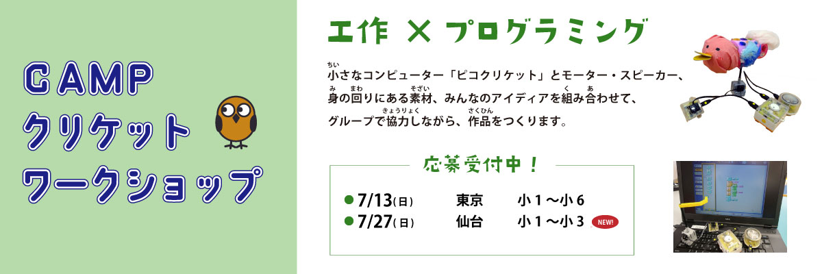 2507_クリケット募集