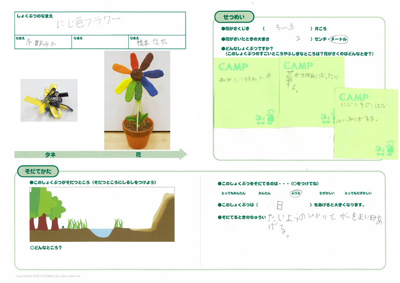 にじ色フラワー